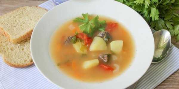 Какой суп сварить на мясном бульоне из говядины