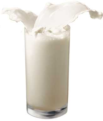Молоко и его свойства