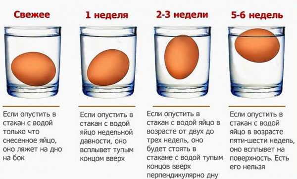 Яйца проверить в воде на свежесть